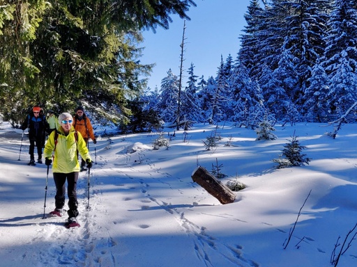 Schneeschuh-Fondue-Tour (mit Milchkannen-Fondue)