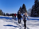 Halbtages-Schneeschuh Schnuppertour öffentlich