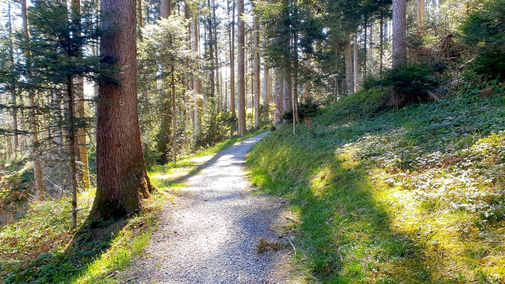 E-Bike Tour «Süffig»