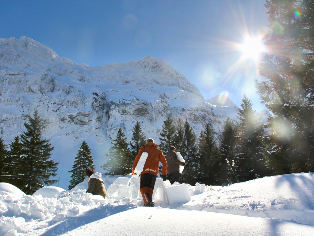 Igloo building